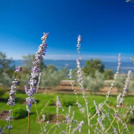 Odina Alojamento de Turismo Rural *